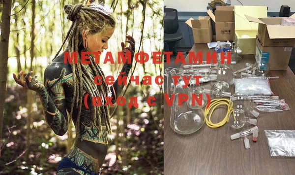 прущие грибы Ижевск