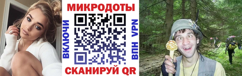 Псилоцибиновые грибы Magic Shrooms  Волгодонск 