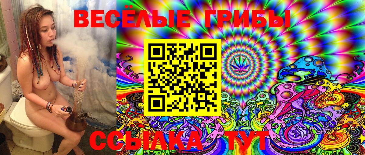 Псилоцибиновые грибы Psilocybe Волгодонск