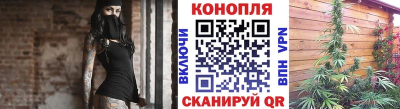Каннабис планчик  что такое   Волгодонск 